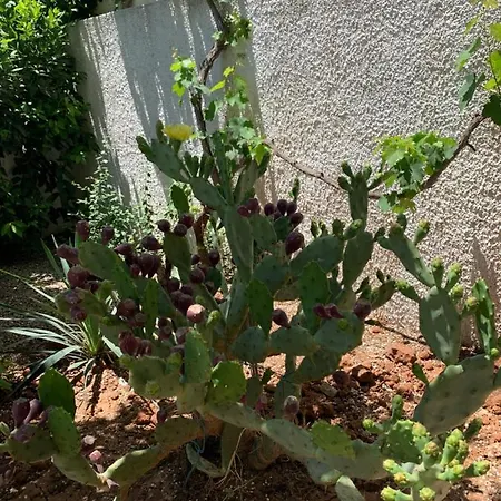 Perla Marina 別荘 *